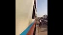 Заяц под поездом