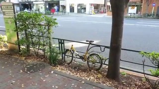 Япония. Велосипед в Токио, велодорожки, парковка