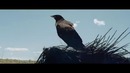Vancouver Sleep Clinic – Bad Dream (Official Video 2019!)