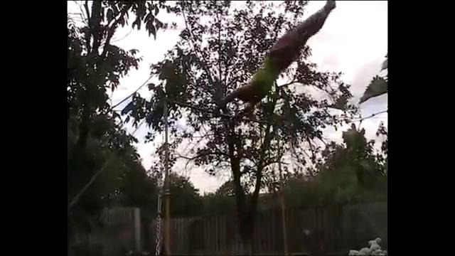 Турник. Как я учил эндо