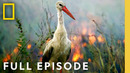 Dark Heart of the Earth (Full Episode) | Hostile Planet Compilation | National Geographic