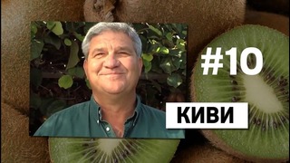 По факту — 10 слов, которые мы говорим НЕПРАВИЛЬНО