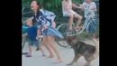 Never anger dogs