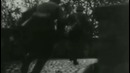 План «ГКонтрудары во Франции – История танкостроения – от EliteDualist Tv