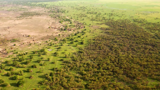 Мегапроект Африки – Великая Зелёная Стена. Как превратить Сахару в оазис