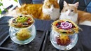 Blue Berry Cheese Cake (Homemade Yogurt)
