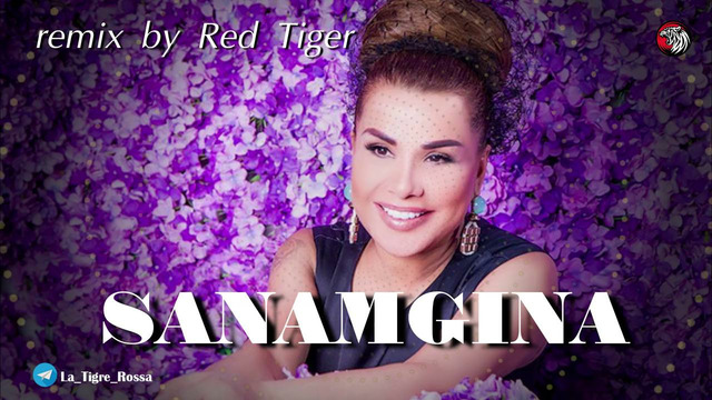 Ulduz Usmonova – Sanamgina ( Red Tiger remix ) 2025