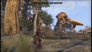 TESO Morrowind Обзор Увиденного! Геймплей