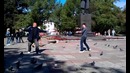 Бой Голубями! (Люди сражаются на голубях)