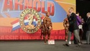 Arnold Classic Madrid мужчины бодибилдинг