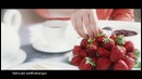 Shaks media – sempre jam
