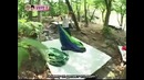 Молодожены 2 (Никкун и Виктория) 5 серия | We Got Married 2 (Nichkhun & Victoria)