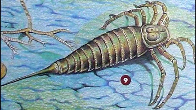 10 доисторических подводных монстров
