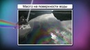 02. Молекулы