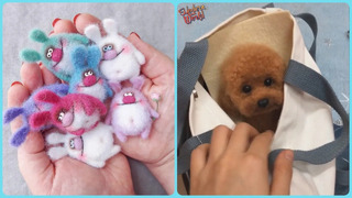 Cool Wool Felting Toys! Creative Handmade! Satisfying Felting Art! People Who Are Another Level