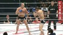 Fight Fedor Emelianenko