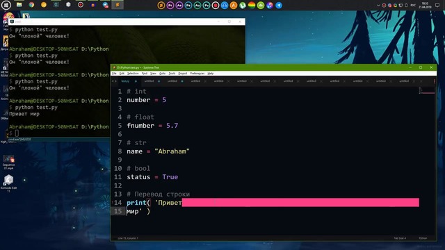 Учим Python за 1 час! #От Профессионала