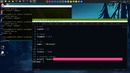 Учим Python за 1 час! #От Профессионала
