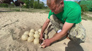 Как мы помогали РОДИТЬСЯ НА СВЕТ СТРАУСЯТАМ
