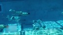 Невероятные тренировки военных