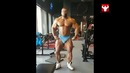 Натан Де Аша и Ролли Винклаар тренировка к Мистер Олимпия 2017