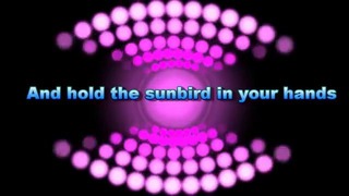 William henries & micheal holborn – sunbird (lyrics video)