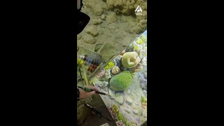 Scuba diver takes water color very seriously