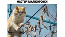 Лютые приколы. Майк Вазовски, ты ЧАЙНИККККК
