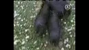 Подборка прикольных отрывков из приколов 2