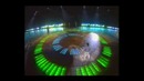 Белые розы