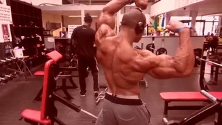 Bodybuilding – Top 7 Aesthetic Classic Physique Division Mr Olympia 2016