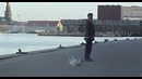 Очень ленивый пес