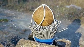 Сможет ли 1000 бенгальских огней поджарить кокос