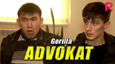 Gorilla – Advokat