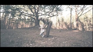 Sonata Arctica – Life (Official Video 2016!)