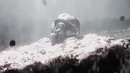 Crysis 4 | ТРЕЙЛЕР (на русском)