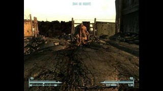 Fallout 3 Gold Edition all DLS