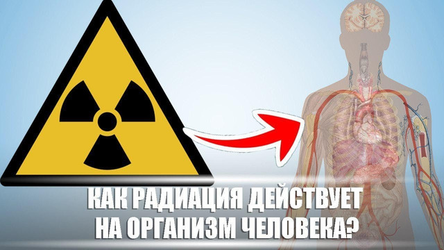 Как радиация действует на организм? / DeeaFilm