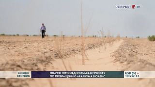 Huawei оказала поддержку по высадке 20 тыс. саженцев на засушливых территориях Аральского моря