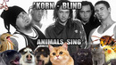 Korn – Blind (Animal Cover)