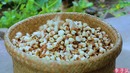 Заготовка семян и закусок (приблизительный перевод)
