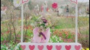 MOMOLAND – Wonderful love