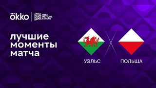 Уэльс – Польша | Лига наций 2022/23 | 6-й тур | Обзор матча