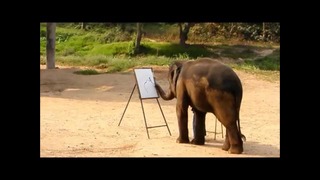 Слон рисует