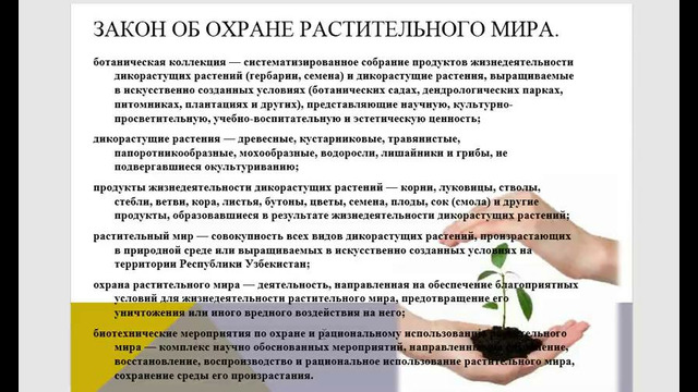 Видеолекция по «Охране природы». Тема: Охрана растительного мира