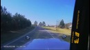 Дом босса