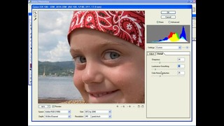 PhotoshopLes – Camera RAW for Digital Photographers (eng)