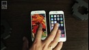 IPhone 6s vs iPhone 6 – производительность, камеры, размеры, дисплеи – Keddr.com