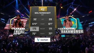 UFC 285: Рахмонов VS Нил