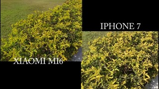 Xiaomi Mi6 Vs iPhone 7 Camera Test